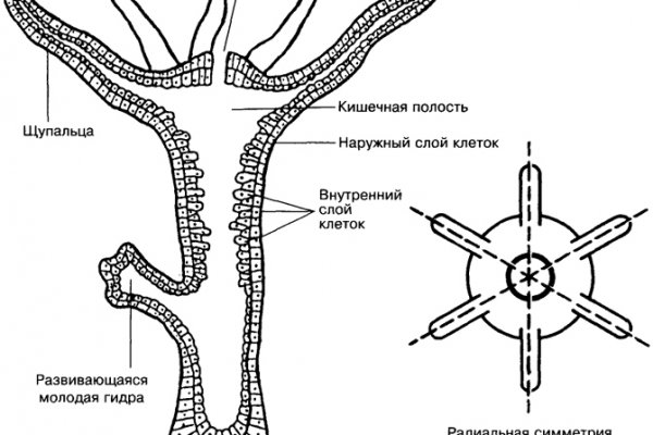 Ссылка на кракен 2024