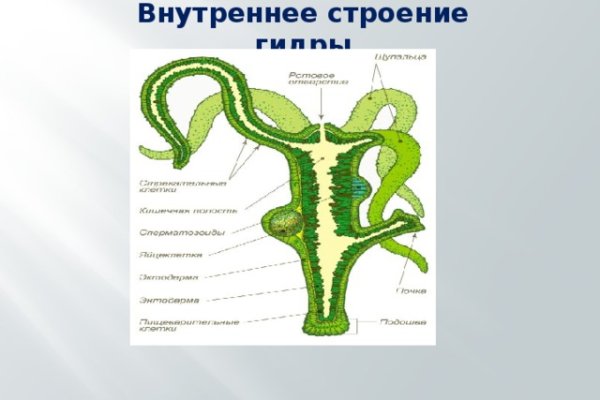 Кракен официальная kr2web in