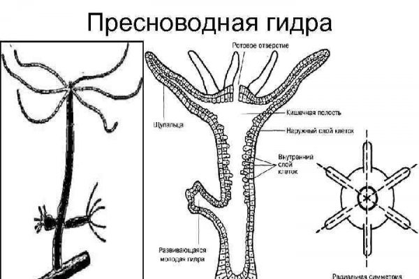 Зеркало на кракен