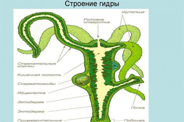 Кракена net