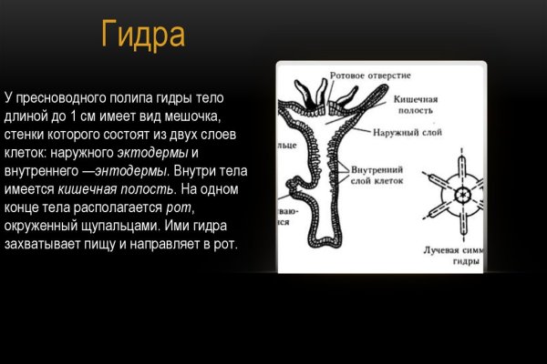 Пользователь не найден на кракене